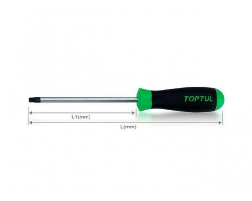 Отвертка TORX T25x100мм TOPTUL (FFAB2510) в Мозыре