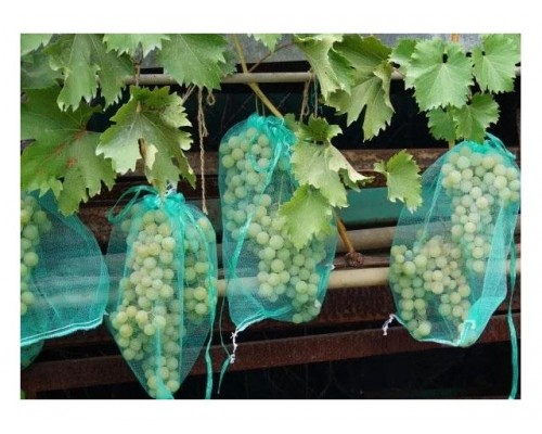 Сетка для защиты гроздей винограда от птиц и ос, 10 шт, 50 см, ИНТЕРЛОК в Мозыре